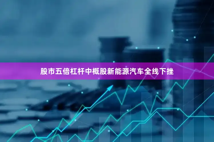股市五倍杠杆中概股新能源汽车全线下挫